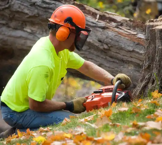 tree services Vado